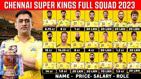 csk team owner 2023